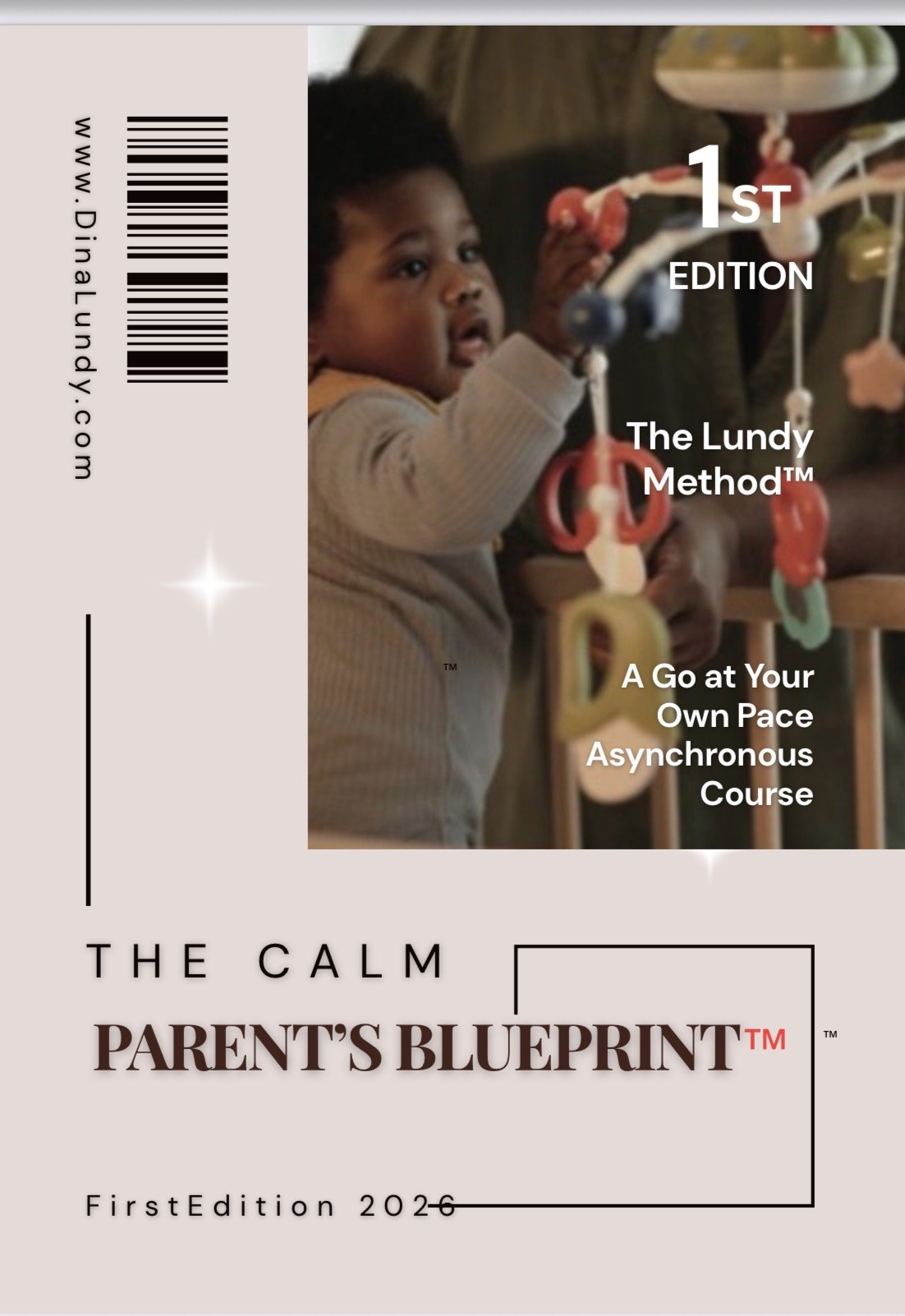 Publication: The Lundy Family Preservation Model